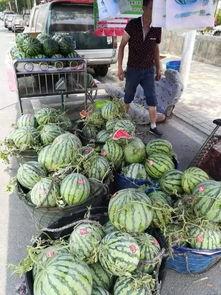 武穴网红吃瓜事件,揭秘网络舆论背后的真相与争议