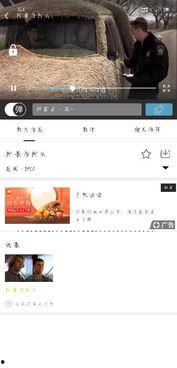 网红吃瓜资源百度云,百度云独家资源大放送