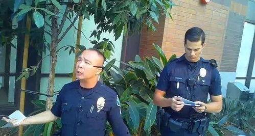 网红视频吃瓜警察,揭秘网络热点的背后真相