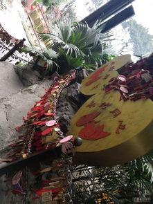 洪崖洞吃瓜网红是谁