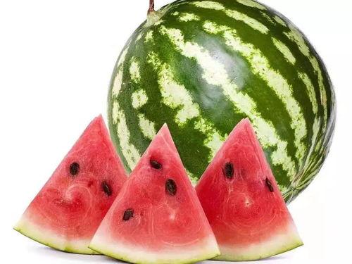 吃瓜网今日吃瓜热门大瓜莫里秀,吃瓜网今日热门大瓜揭秘