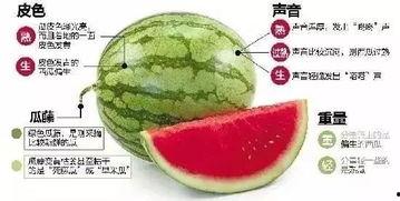 濮阳网红吃瓜群微信