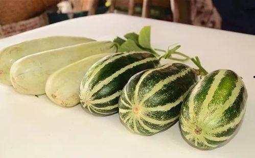 网红吃瓜不免费