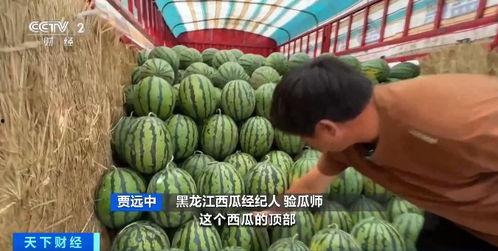 景德镇网红吃瓜群微信号,揭秘幕后故事，畅谈生活点滴